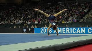 Yul Moldauer (USA) - Floor Exercise - 2018 American Cup