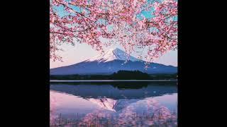 [FREE FOR PROFIT] Lo-Fi Type Beat "Sakura"