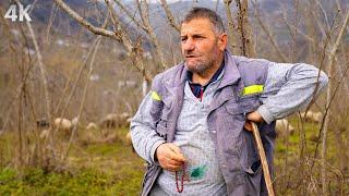 Köyde Tek Kalan Sürü- Gahura'nın Son Çobanı | Belgesel-4K