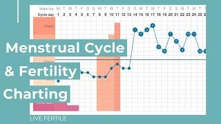 How I Track My Cycle Using the Fertility Awareness Method + OPKs * Giveaway Now Closed*