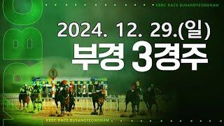 (부산) 2024.12.29 3경주