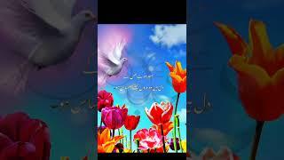 #deeni bayan #bayan urdu #islaam # Islamic discussion