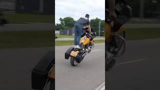 Myrtle Beach Bike Week #harleydavidson #wheelie #burnout #drift #shorts #motorcycle #biker #bikelife