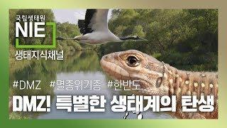 [생태지식채널NIE] DMZ! 특별한 생태계의 탄생_국립생태원