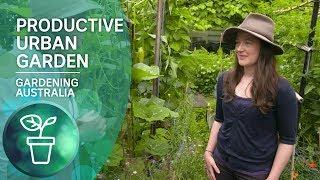 A highly productive small-scale urban garden | Urban Farming | Gardening Australia
