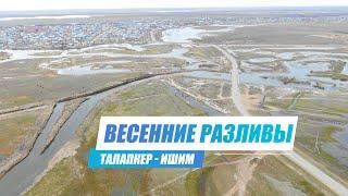 Весенний разлив реки Ишим - Посёлок Талапкер