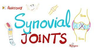 Synovial joints (Diarthroses) - Synovial fluid - Synovitis | Anatomy