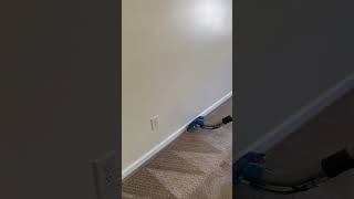 Carpet cleaning in Auburn, Alabama #TMF #Chemical #wands #equipment #carpetcleaning #videos #startup