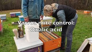 Varroa Mite Control  - Oxalic Acid