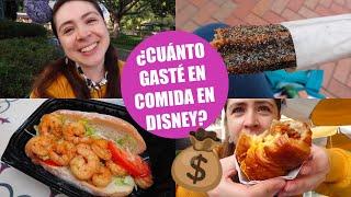 ¿CUÁNTO DINERO GASTÉ EN UN DÍA PARA COMER EN DISNEYLAND?