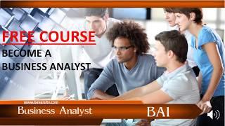 Business Analyst Introduction