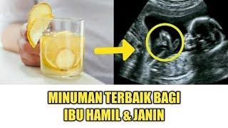 Daftar Minuman Terbaik untuk Ibu Hamil dan Janin