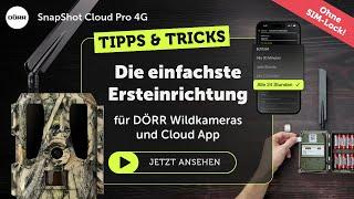 Wildkamera DÖRR CLOUD PRO 4G - Ersteinrichtung kinderleicht - ohne Simlock - kein Abo nötig