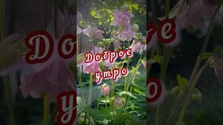 Доброе утро, всем счастья
