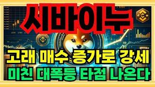 [ 시바이누 코인전망 ] 미.쳤.다 ! 대폭등 낌세 포착 진짜 빨리 보세요