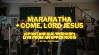 Maranatha + Come, Lord Jesus (Spontaneous) | David Willis - Live From an Upper Room [Music Video]