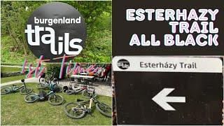 Esterházy Trail KOMPLETT mit allen ⬛️-Abzweigungen | Burgenland Trails | YT Decoy Uncaged 10