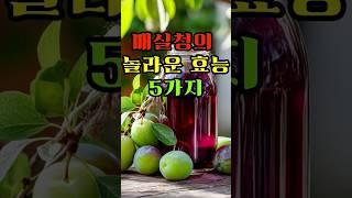 매실청의 놀라운 5가지 효능  #매실청 #매실청효능 #건강정보 #소환건강 #피로회복 #해독작용 #장건강 #항산화효과 # 면역력강화 #소화촉진