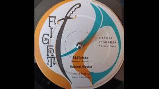 Natural Mystic - Rastaman & Better Than The Rest Dub (Fight) 1981