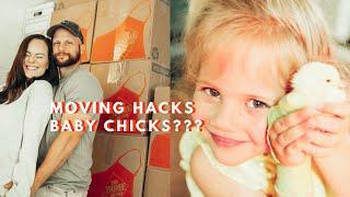 Best Simple Packing Tips | MAJOR Moving Hacks |  Lauren Stewart