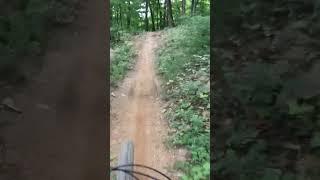 More Mountain Bike ASMR from Caveboy Trail at Windrock Bike Park