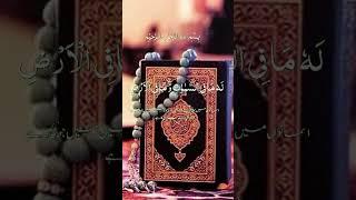 Tilawat E Quran / #quran #tilawatquran #tranding #foryou #quranrecitation #everyone #shorts #grow