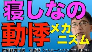 寝しなの動悸、心拍を強く感じる、あるいは睡眠初期にハッと目が覚めてドキドキする！でも心臓には異常がないと言われる、、で困っている人は多いです。そのメカニズムについて考えてみます。