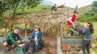Buy a herd of piglets from Phuong Free Bushcraft to raise, Completed building of pig barn