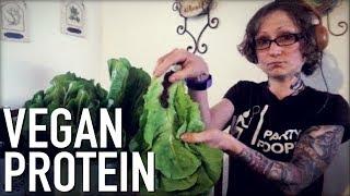 Protein on a Raw Vegan Diet | Vegan Protein Sources