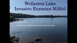 Lake Links 2022 - "Eurasian Milfoil Program”