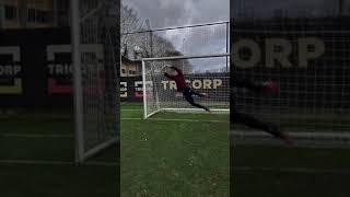 Timon wellenreuther save