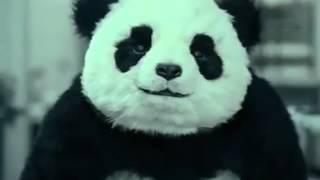 Never say no to Panda