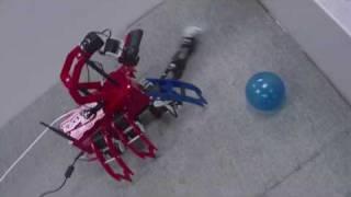 Chiara Robot: Ultimate Chase Ball