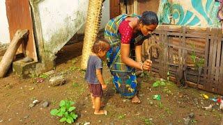 మా పెరటిలో అన్ని రకాల కూరగాయ విత్తనాలు నాటుతున్నాను... అమ్ములు డాన్స్ అదిరిపోయింది