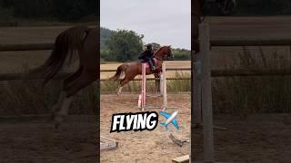 Curly is absolutely FLYING ️ #horse #equestrian #showjumping #horseriding #pony #horse