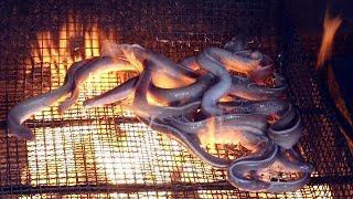 Hagfish (eel) Straw Fire Roast - Amazing Korean Food / Busan, Korea