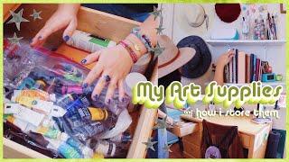 My Art Supply Collection & How I Store It All