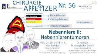 Nebenniere II Nebennierentumoren Cushing Conn Phäo Inzidentalom CHIRURGIE APPetizer Nr. 56