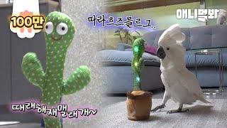 자꾸 킹받게 하는 앵무새한테 거울 치료를 해줬더닠ㅋㅋㅋㅣ Gave a Cockatoo a Stuffed Cockatoo LOL