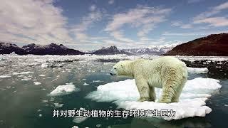 全球暖化101：气候变化的科学原理和解决方案