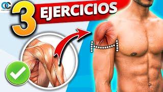 Los ÚNICOS 3 ejercicios para HOMBRO que debes hacer