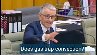 Could this be the stupidest politician in Australia?