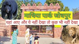 Machiya Biological park Jodhpur // माचिया सफ़ारी पार्क जोधपुर #जोधपुर