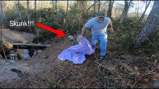 How to remove a skunk from a trap!