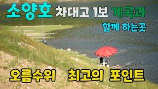 장마비 오름수위  최고의 포인트 소양호  계곡과 함께