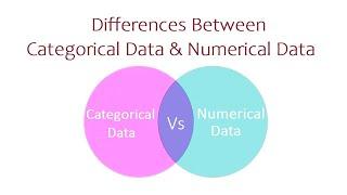 Differences Between Categorical Data and Numerical Data