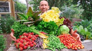 Unbelievable Backyard Garden Harvest, This is What I Harvested Today!