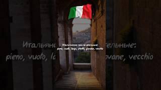 Итальянские прилагательные: pieno, vuoto, largo, stretto, giovane, vecchio