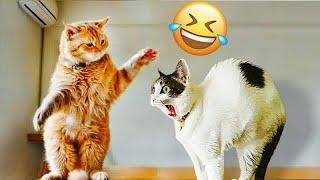 The Most Adorable and Funny Pet Moments Ever  Funny Videos Every Days ️