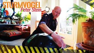 Peter Stein - "Sturmvogel" Handpan